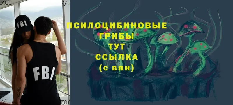 Псилоцибиновые грибы Psilocybine cubensis  МЕГА ССЫЛКА  Лысково 